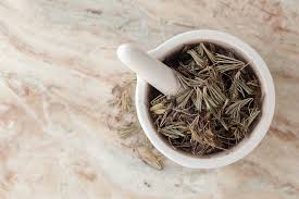 Image result for Actiniopteris radiata