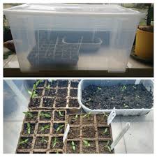 Gewachshaus Aus Ikea Plastikbox Plants Terrarium Decor