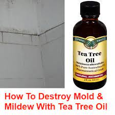 Tea Tree Oil Mold Removal How Why To Use Essential Oils For Mold Mold Remover Tea Tree Oil Oils