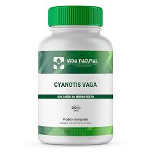 Image result for Cyanotis vaga