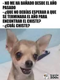 Pin On Fotos De Animales Facebook