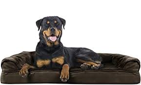 Most cooling dog beds come in at least three standard sizes — small, medium, and large. Amazon Com Furhaven Pet Dog Bed Orthopedic Ultra Plush Faux Fur And Suede Traditional Sofa Style Living Room Couch Pet Bed With Removable Cover For Dogs And Cats Espresso Jumbo Pet