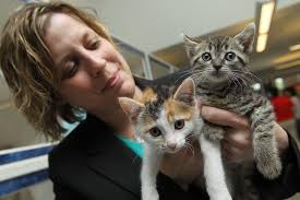 Coulter out as head of Windsor/Essex County Humane Society