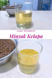 Cara Membuat Minyak Kelapa Minyak Kelapa Kelapa Makanan