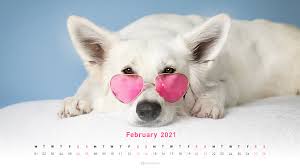 Our classic simple calendar in a nice accent colors. Free February 2021 Calendar Wallpapers Desktop Mobile