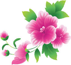 Gallery Recent Updates Flower Clipart Flower Art Flower Pictures