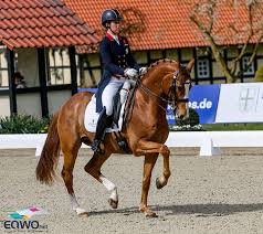 Charlotte dujardin was born in london, england on july 13, 1985. Charlotte Dujardin Gio Win Hagen Horses Dreams Cdi4 Grand Prix In Return Of Top Dressage To Western Europe Dressage News