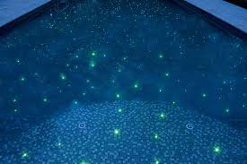 Outdoor Swimming Pool With Star Floor Built In Barrington Hills Il By Platinum Poolcare Phone 847 Swimming Pools Swimming Pool Designs Luxury Swimming Pools