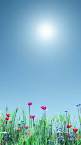 Check spelling or type a new query. Flower Scenery Wallpapers Top Free Flower Scenery Backgrounds Wallpaperaccess