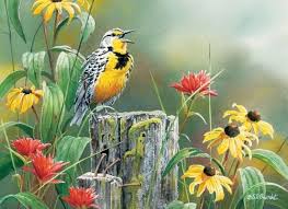 Look At The Birds Of The Air And The Flowers Of The Field Meadowlark Morning 1000 Piece Puzzle Bird Artwork Birds Wildlife Paintings