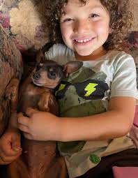 Found a heeler near the old bowling alley