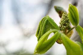 Tons of awesome free spring wallpapers and screensavers to download for free. 205 Spring Screensavers Photos Free Royalty Free Stock Photos From Dreamstime
