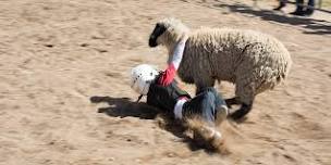 Park County Fair Mutton Bustin' - Friday Night