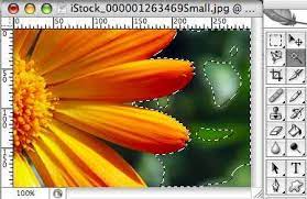 We did not find results for: Using Selections In Photoshop The Magic Wand Tool Lasso Tool Apogee Photo Magazine