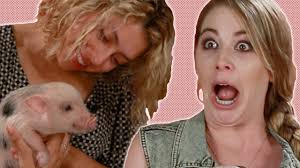 BuzzFeed e il video virale sul maialino "bacon"