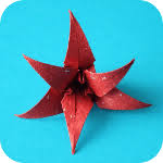 Origami rose geldschein anleitung geldscheine blume falten rose file type =.exe credit to @ origami rose. Blumen Origami Kunst