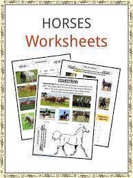 horse facts breeds history behavior worksheets for kids kidskonnect