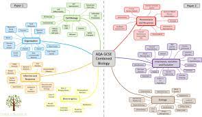 Plant cells gcse mind map. Simple Science On Twitter We Have Seen Quite A Few Teachers Requesting Mind Maps For Gcse Science So We Have Created Our First Map For Aqa Combined Gcse Biology Would