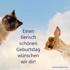 11 lustige schlafende tiere auf den bildern. Susse Geburtstagswunsche Mit Tieren