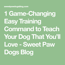 1 Game Changing Easy Training Command To Teach Your Dog That You Ll Love Sweet Paw Dogs Blog Dog Clicker Training Teaching Dog Training Books