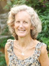 About Village Schools International