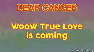 But once they feel safe and secure, there's no turning back, as cancers tend. Cancer Woow True Love Is Coming July 2021 Tarot Love Reading Youtube