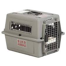Petmate Sky Kennel Airline Approved Pet Kennel Pet Crates