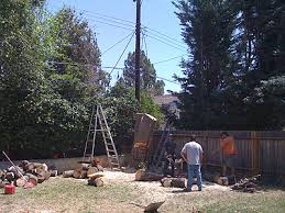 Simi Valley Home Owner Tip Power Lines Tree Trimming Community Home Buying Selling Real Estate Guide