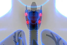 Image result for Hyperparathyroidism