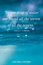There is a galaxy in that single drop of water, i am sure of it. 25 Inspirational Ocean Quotes For Those That Love The Sea Life Well Cruised