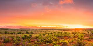 The northern territory is an australian territory in the central and central northern regions of australia. Northern Territory Explorer Australia Australia Nz Floreat World Of Travel