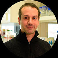 Cell and Experimental Biology Conferences