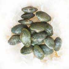 Lala Whole Seafood Sarawak, Malaysia, Kuching, Johor Bahru, JB Supplier,  Suppliers, Supply, Supplies