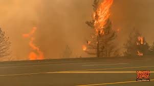 Seven new mines could be built in b.c. New Evacuation Orders Issued In Western Canada As Fire Guts Town After Record Heat Reuters