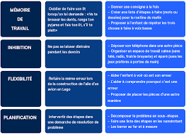Ce Dossier Offre Une Definition Des Fonctions Executives Ou Controle Cognitif Habiletes Mentales Essen Fonctions Executives Metacognition Memoire De Travail