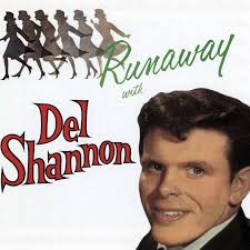 Key & BPM for Runaway by Del Shannon