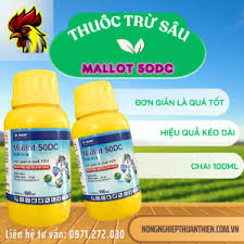 NBChestop 50WG