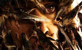 images?q=tbn:ANd9GcQm92wgtEc742js6Blpe_-