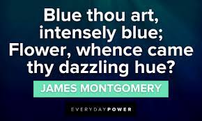 110 Blue Quotes Captions Phrases For Color Lovers Creatives