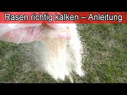 Rasen Richtig Kalken Anleitung Rasenpflege Im Fruhjahr Gegen Moos Zeitpunkt Wann Menge Wieviel Youtube