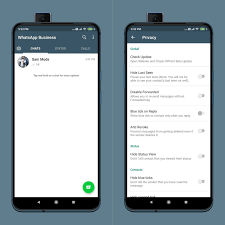 Whatsapp Business 2 20 197 20 With Privacy Latest Base