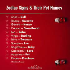 This makes us irritated about this zodiac sign. Zodiac Signs And Their Most Negative Trait