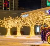 2025 Outdoor Luminous Waterproof Christmas Tree Motif Light City Street Park