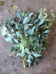 Sending flowers has never been made easier! Eucalyptus Populus Sold By The Bunch From The Flowermonger The Wholesale Floral Home Delivery Servi Wholesale Fresh Flowers Flowers Bouquet Wholesale Flowers