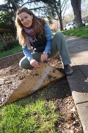 You can also contact a local tree care company for mulch delivery, or purchase natural, wood chip mulch from your local garden store. Break Up With Your Lawn Use Cardboard To Say Goodbye With No Regrets Uc Davis Arboretum And Public Garden