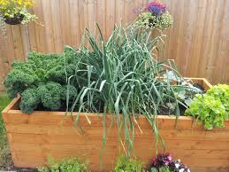 Formidable Backyard Vegetable Garden Ideas A Vegetable Garden Does Not Need To Occup Vegetable Garden Design Vegetable Garden Planning Small Vegetable Gardens