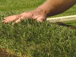 We did not find results for: Sod Farming Tips Diy