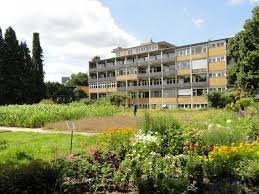 Botanischer Garten Frankfurt Botanischer Garten Privatgarten Garten