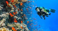 Duiken in Hurghada: waar vind je de mooiste duikspots? - dé ...