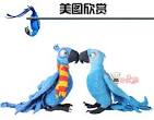 pictures of 2 parrots kissing videos for kids